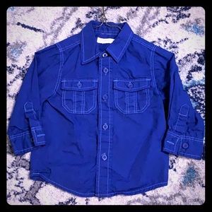 Pumpkin Patch Cobalt Blue Button up shirt